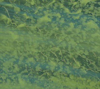 metin için alanı olan grunge arkaplanı