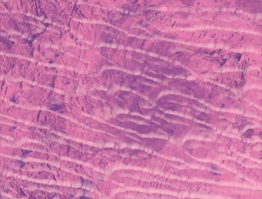 alan ile grunge doku arka plan