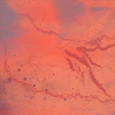 ahşap arka plan üzerinde çikolata damla ile çikolatalı kurabiye. tonda görüntü 