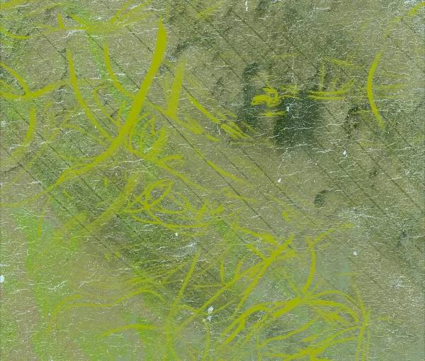 metin için alanı olan grunge arkaplanı