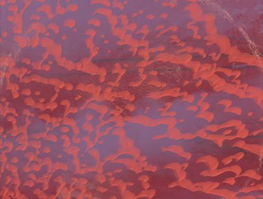 Renkli çiçek doku arka plan 