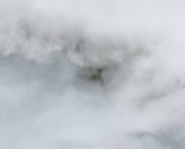 kar manzara içinde ağaçlar