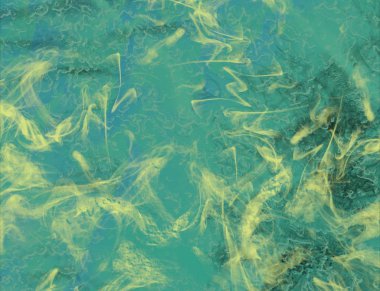 metin için alanı olan grunge arkaplanı