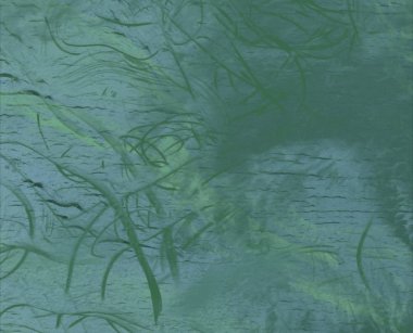 metin için alanı olan grunge arkaplanı