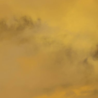 Taranmış Boyalı Soyut Arkaplan. Fırça darbeli resim.