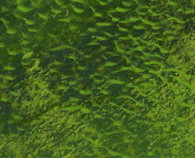 Sorunsuz antika arka plan