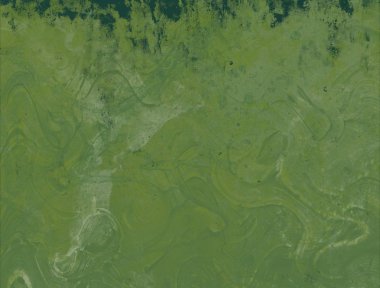 metin için alanı olan grunge arkaplanı