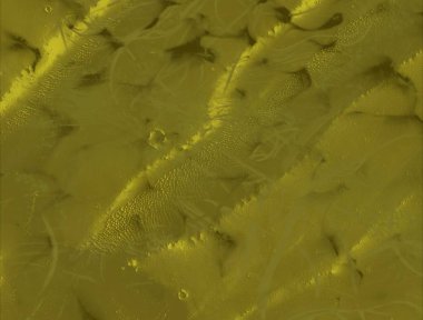 metin için alanı olan grunge arkaplanı