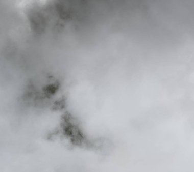 Taranmış Boyalı Soyut Arkaplan. Fırça darbeli resim.