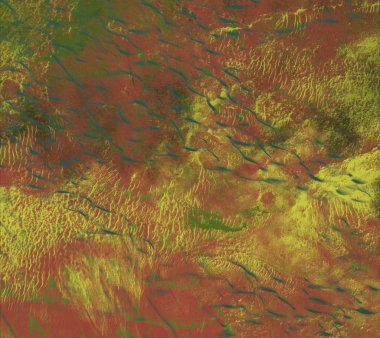 renkli renkli grunge arka plan