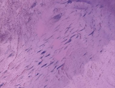 metin için alanı olan grunge arkaplanı