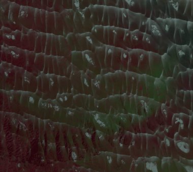 Metin için alanı olan soyut grunge arkaplanı