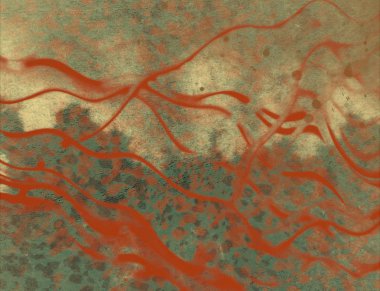 metin için alanı olan grunge arkaplanı