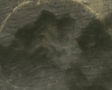 Eski kağıdın dokusu