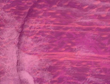 metin için alanı olan grunge arkaplanı