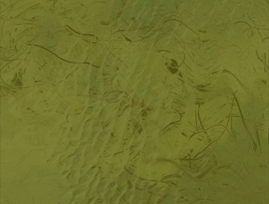 metin için alanı olan grunge arkaplanı