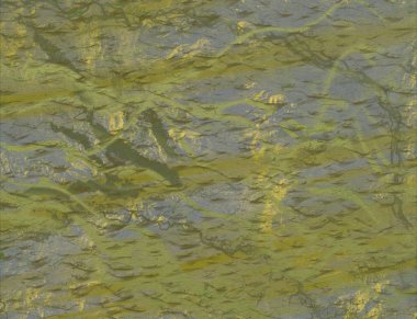 yeşil yaprakları ile arka plan