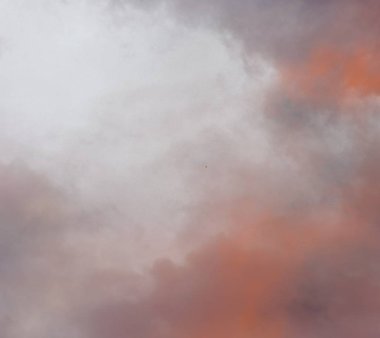 Taranmış Boyalı Soyut Arkaplan. Fırça darbeli resim.