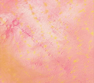 metin için alanı olan grunge arkaplanı