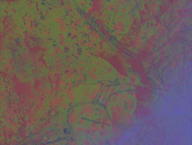 metin için alanı olan grunge arkaplanı