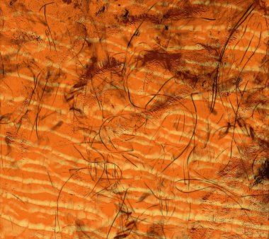 metin için alanı olan grunge arkaplanı