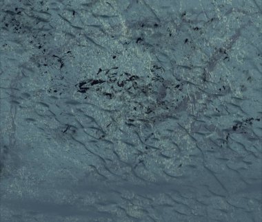 metin için alanı olan grunge arkaplanı