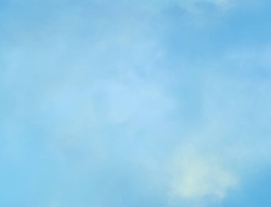 Renkli çiçek doku arka plan 