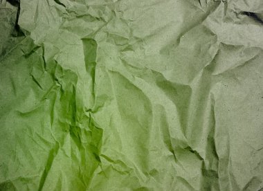 beyaz arkaplanda yeşil yapraklar