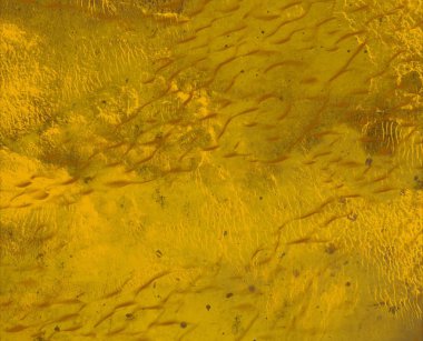 metin için alanı olan grunge arkaplanı