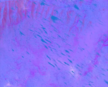 metin için alanı olan grunge arkaplanı