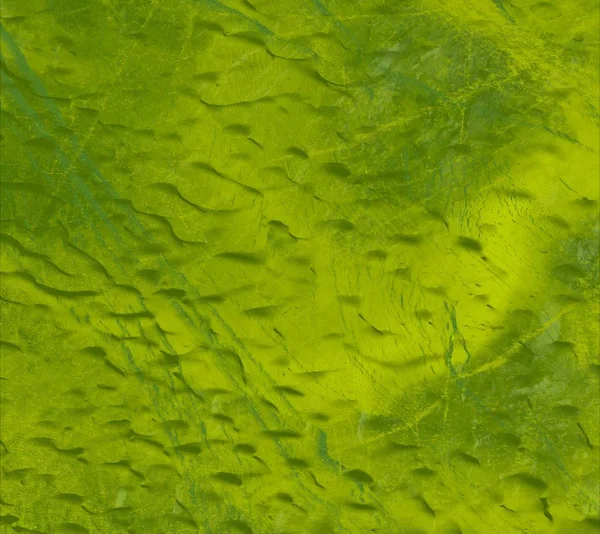 Fundo Abstrato Com Folhas Verdes — Fotografia de Stock