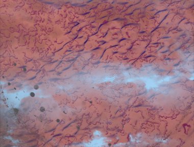 metin için alanı olan grunge arkaplanı