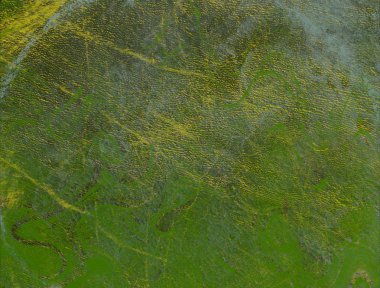 soyut renkli arkaplan, alanı kopyala 