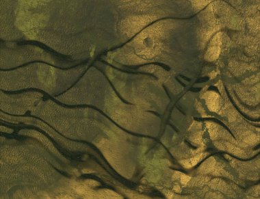 metin için alanı olan grunge arkaplanı