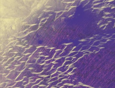 metin için alanı olan grunge arkaplanı