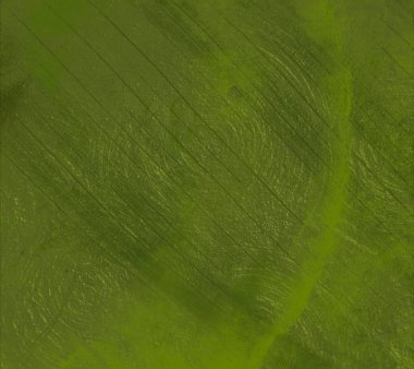 metin için alanı olan grunge arkaplanı