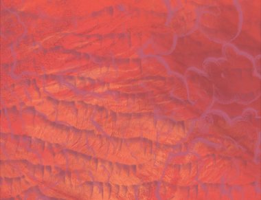 metin için alanı olan grunge arkaplanı