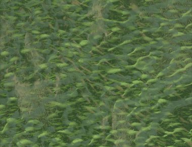 Vintage gökyüzü ve bulutlar arka plan.