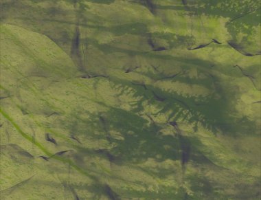 metin için alanı olan grunge arkaplanı