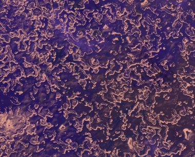 metin için alanı olan grunge arkaplanı