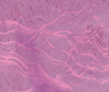 Metnin için alanı olan soyut arkaplan