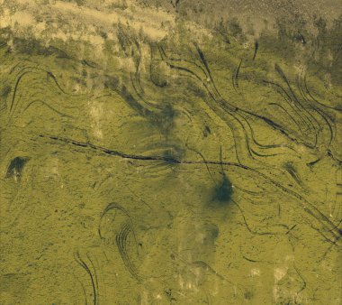 metin için alanı olan grunge arkaplanı