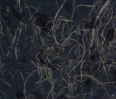 metin için alanı olan grunge arkaplanı