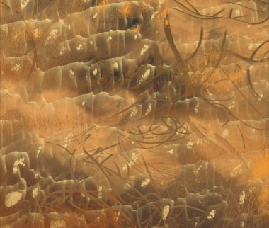 alan ile grunge doku arka plan