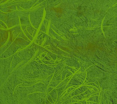 metin için alanı olan grunge arkaplanı