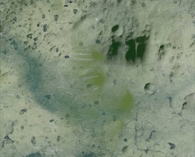 metin için alanı olan grunge arkaplanı