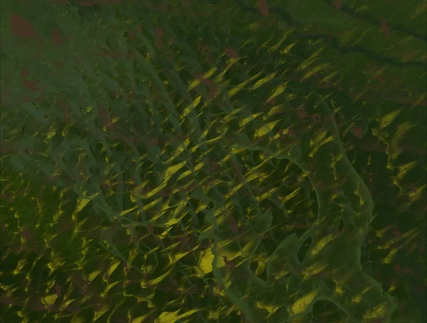 Fundal Abstract Iarbă Verde — Fotografie, imagine de stoc