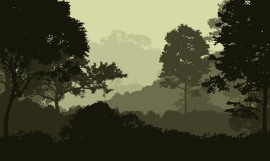 sisli orman ağaçları ile soyut siluetli zemin