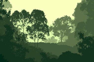 sisli orman ağaçları ile soyut siluetli zemin