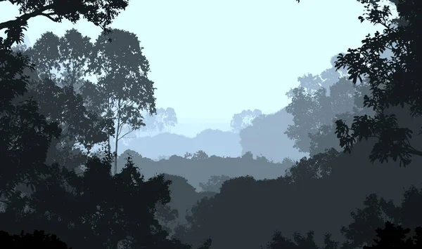 Streszczenie Sylwetki Zamglonych Drzew Leśnych — Zdjęcie stockowe